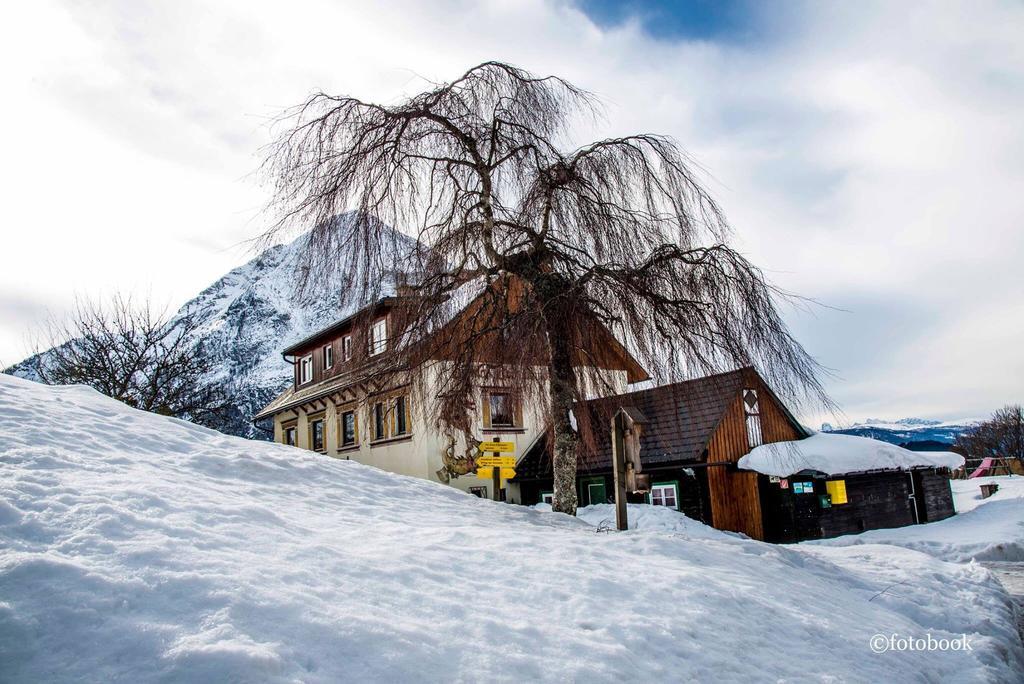 Gasthof Dachsteinblick Stainach Dış mekan fotoğraf